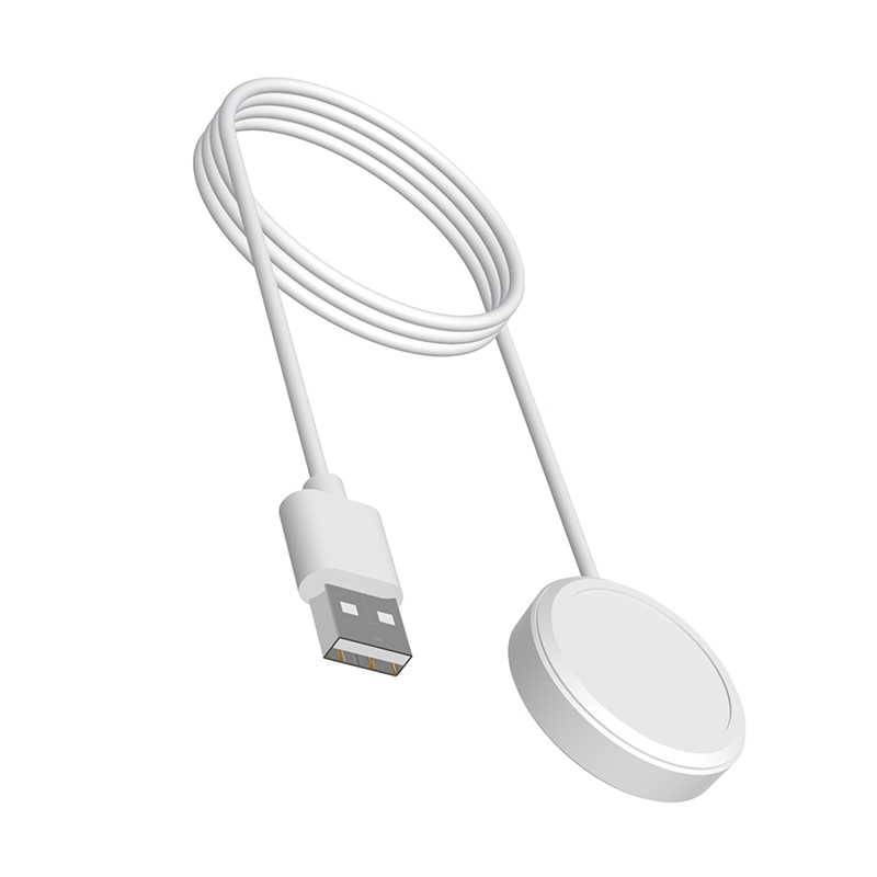 Adaptador de cargador para Sma - Garmin Smartwatch Accessories reseña y precio